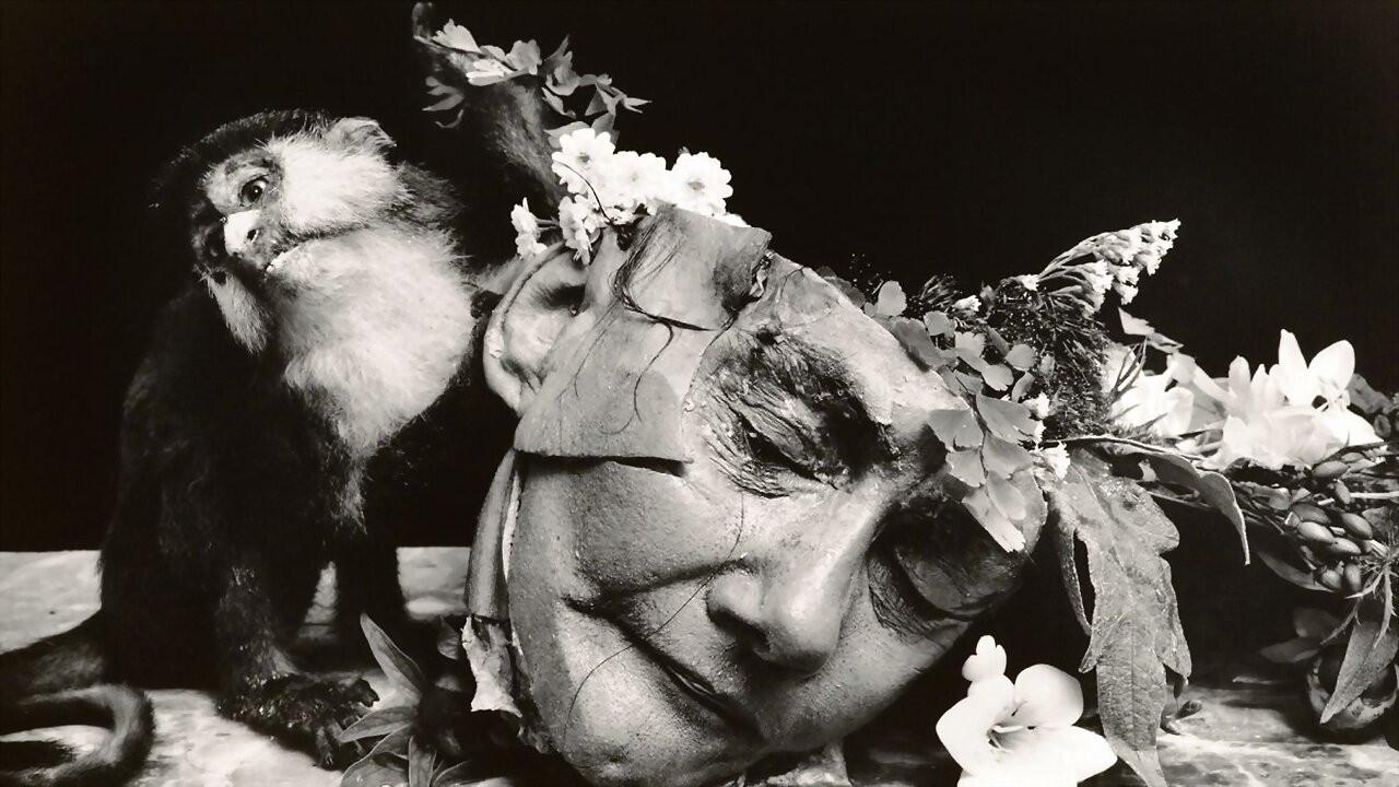 Witkin & Witkin