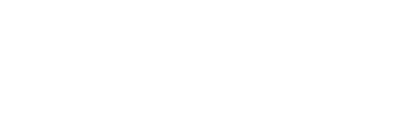 Love in the Great Smoky Mountains: A National Park Romance