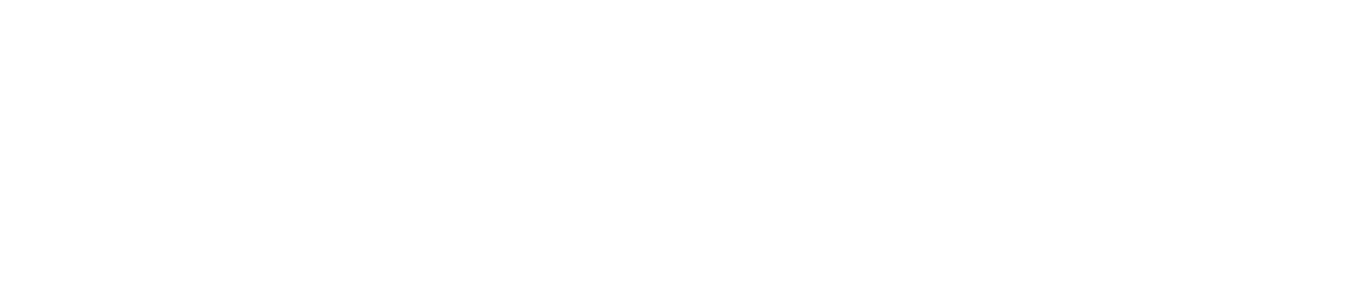 The Mountain Between Us