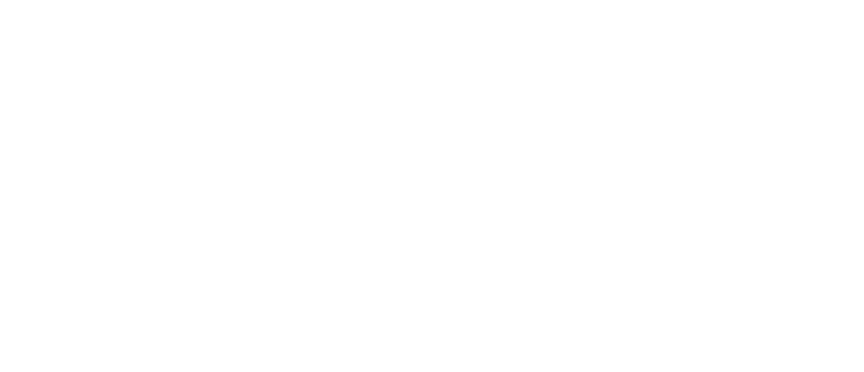 Idiot's Delight