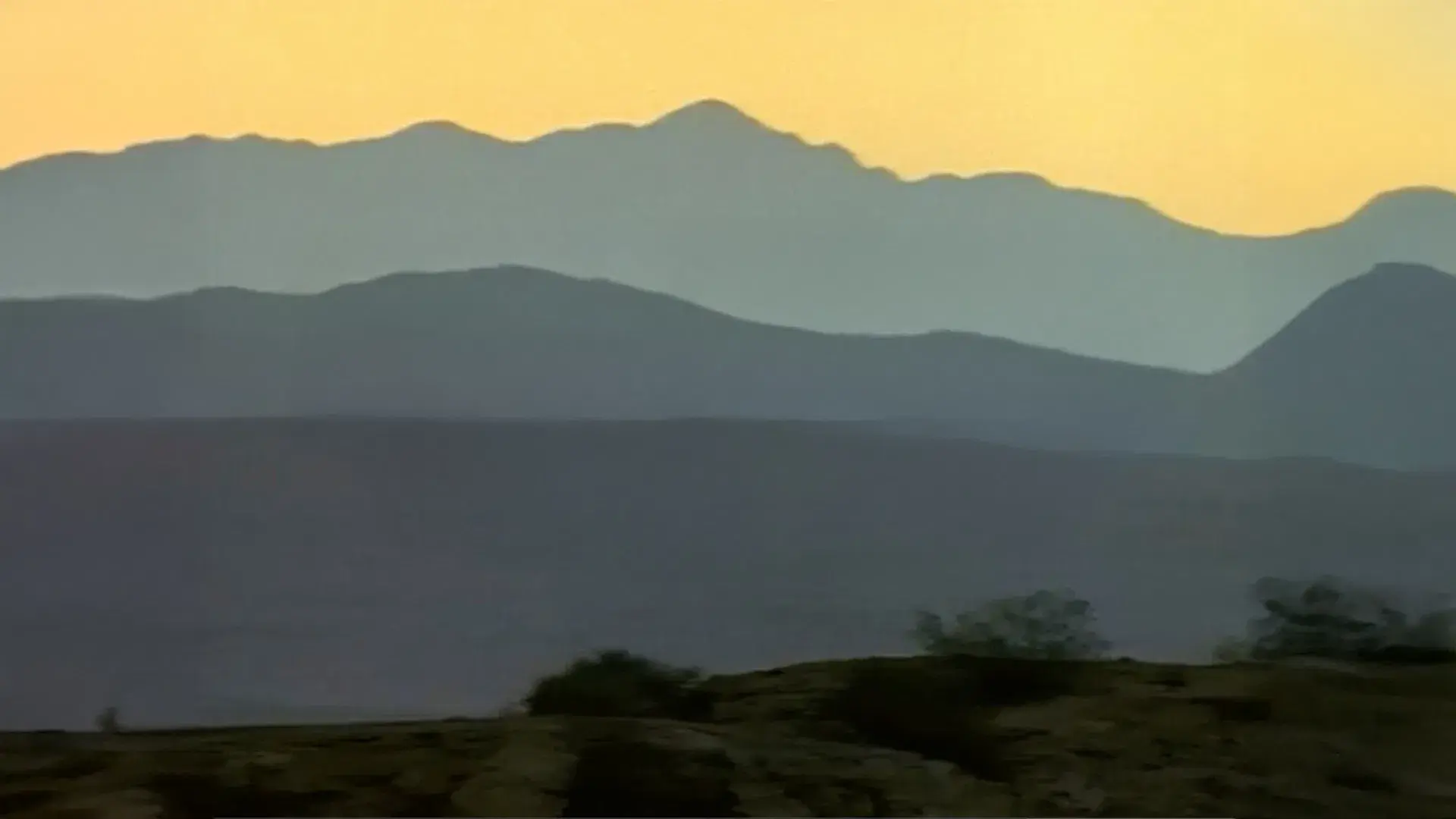 Dinosaurs Inside & Out