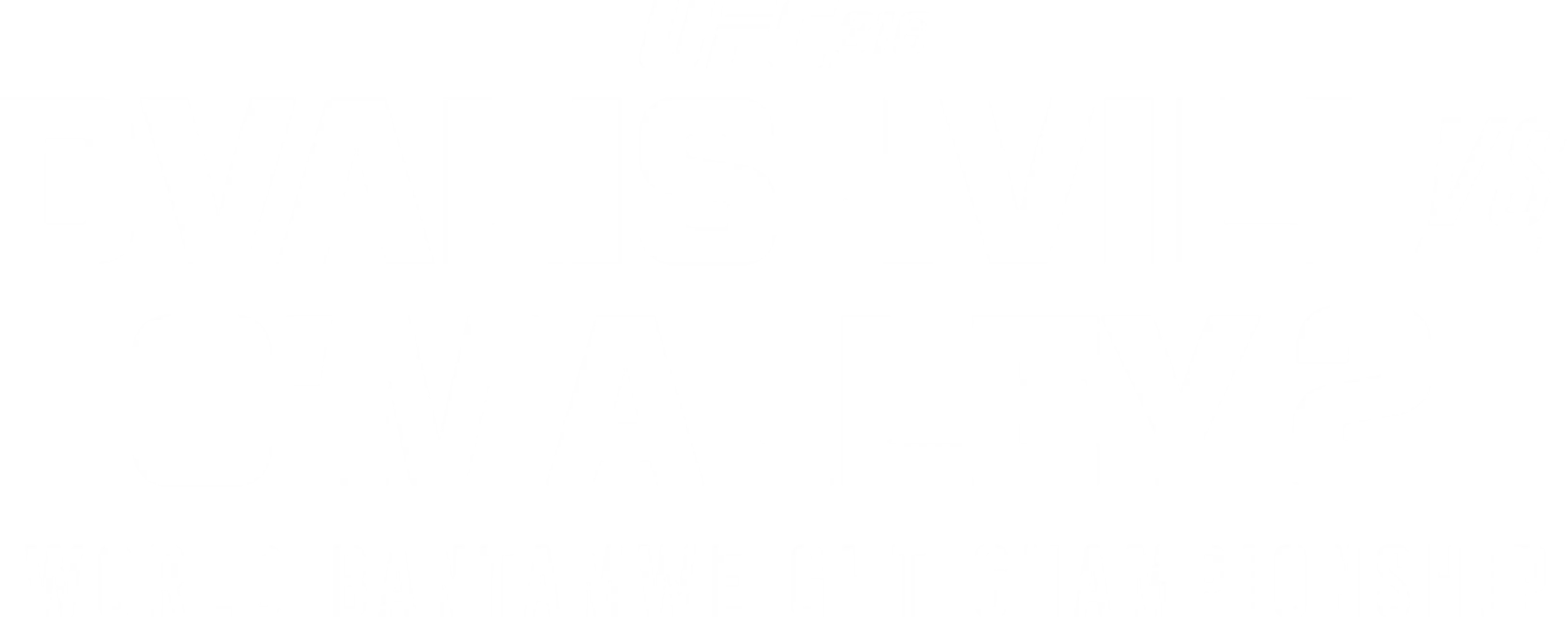 UFC 316: Dvalishvili vs. O'Malley 2