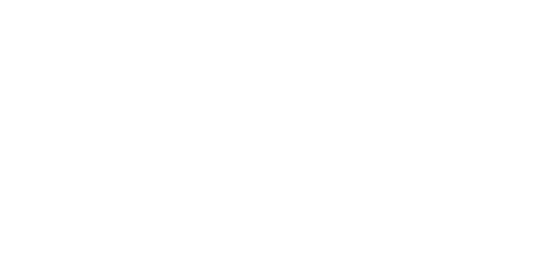 In Youth We Trust