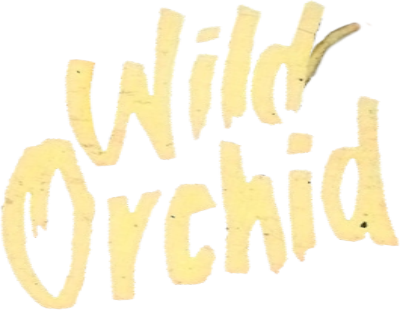 Wild Orchid