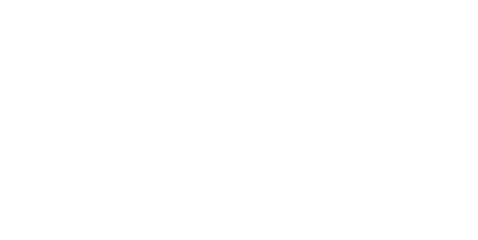 Detective Chen