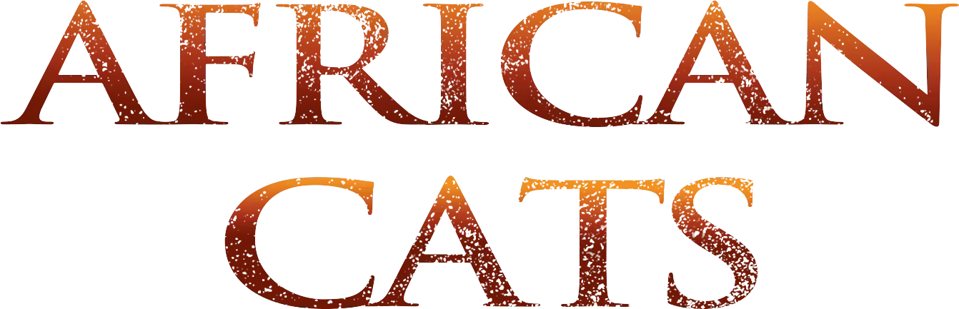 African Cats