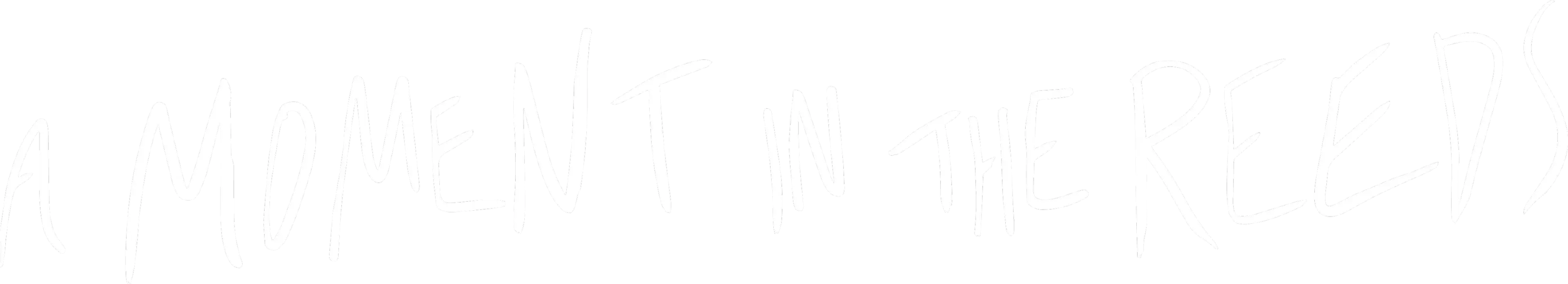 A Moment in the Reeds