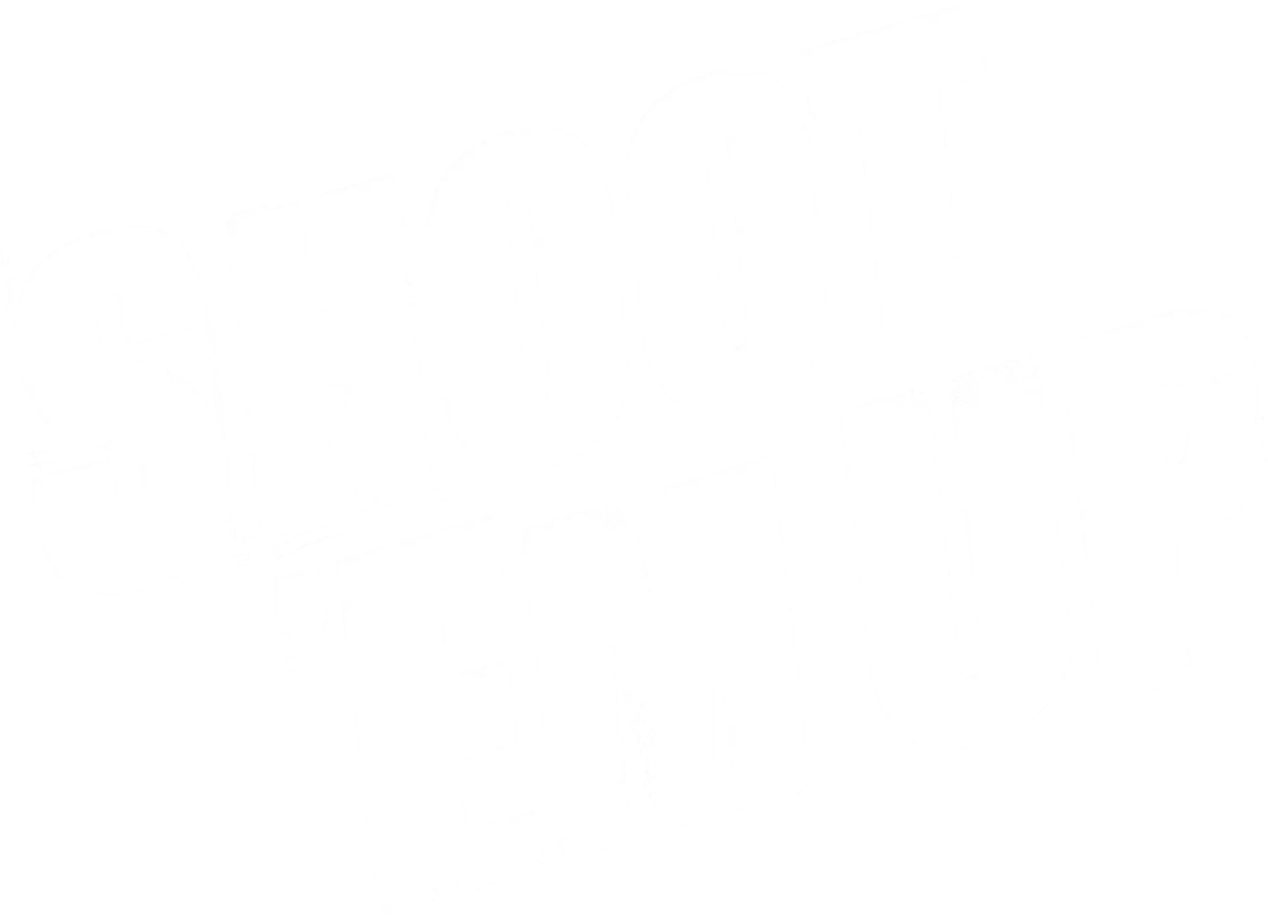 Shoot 'Em Up