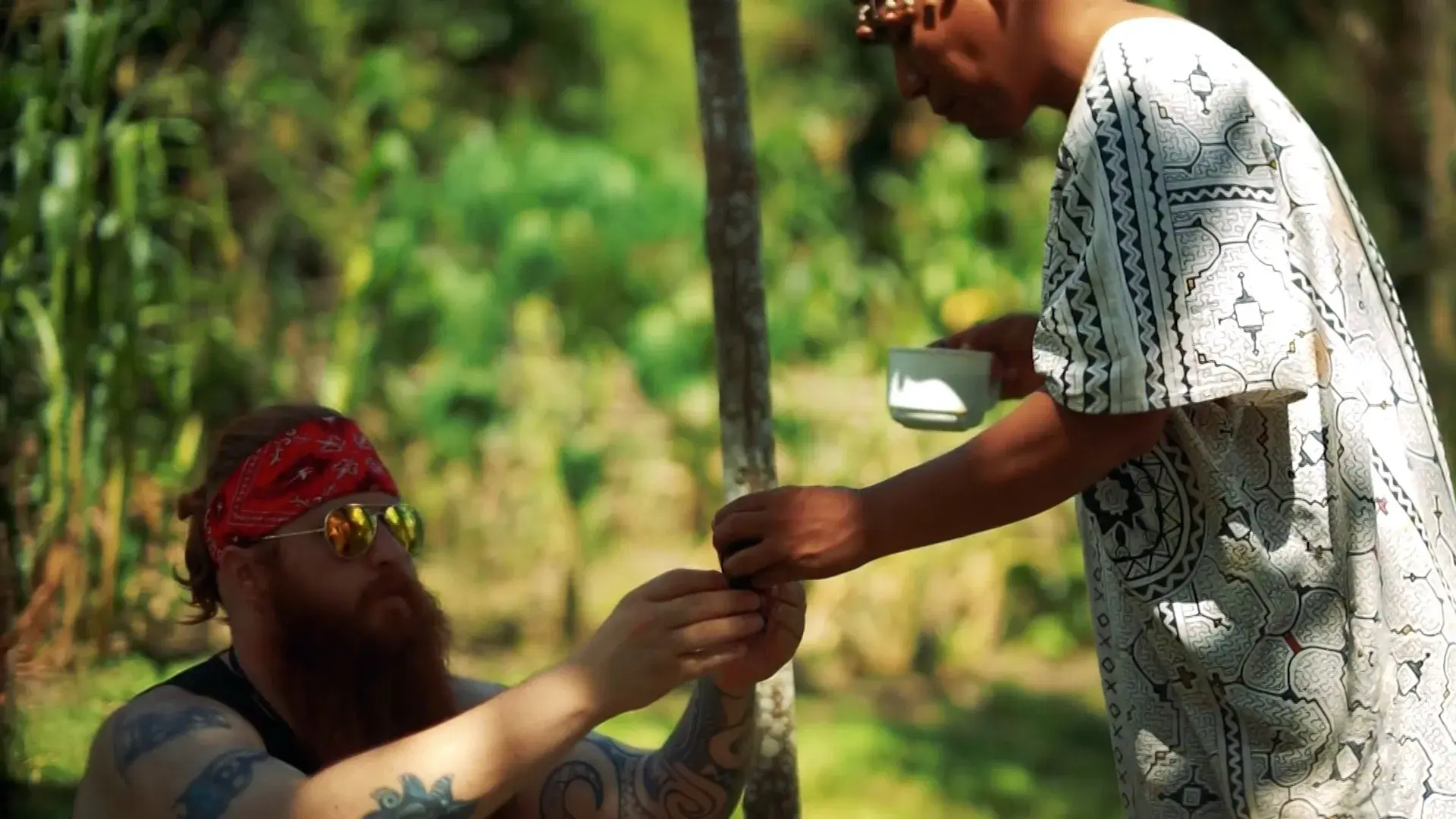 Soldiers of the Vine