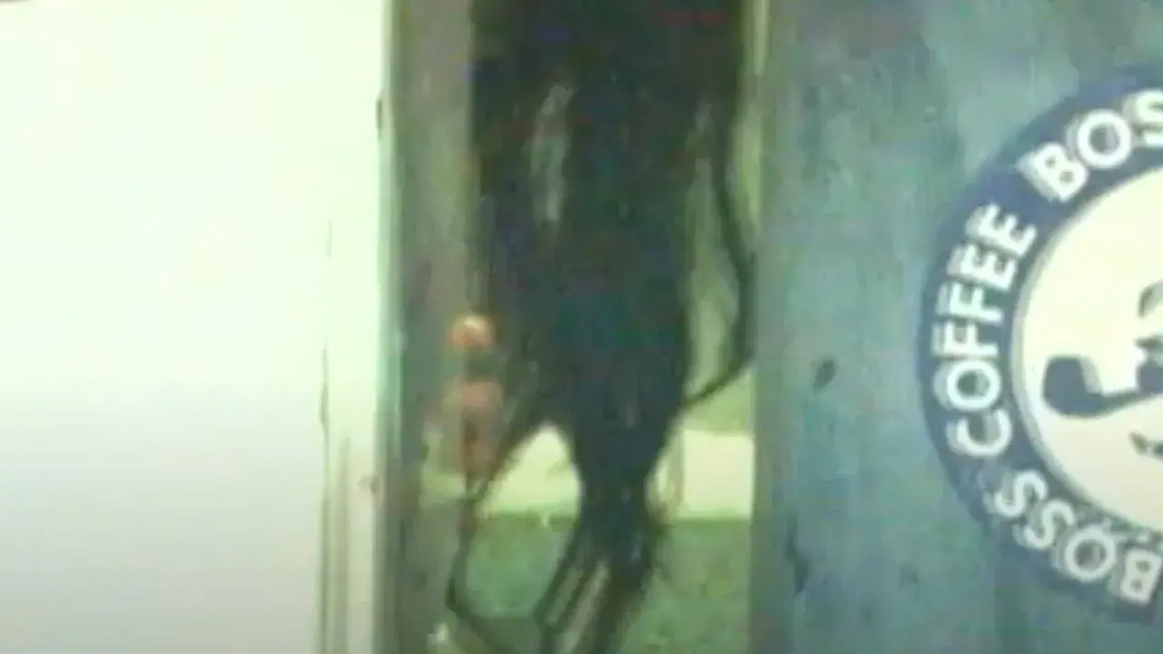 Honto Ni Atta! Noroi No Video 12