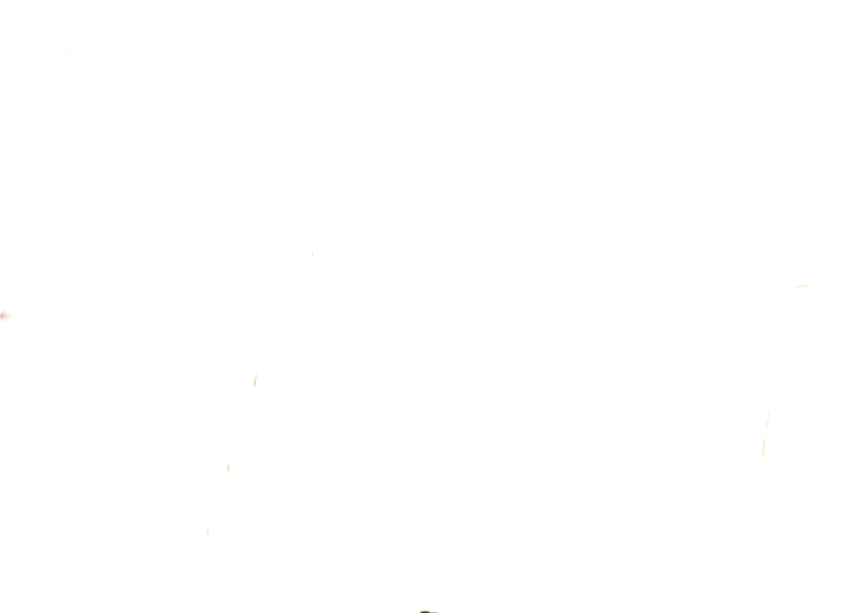 Man Hunt