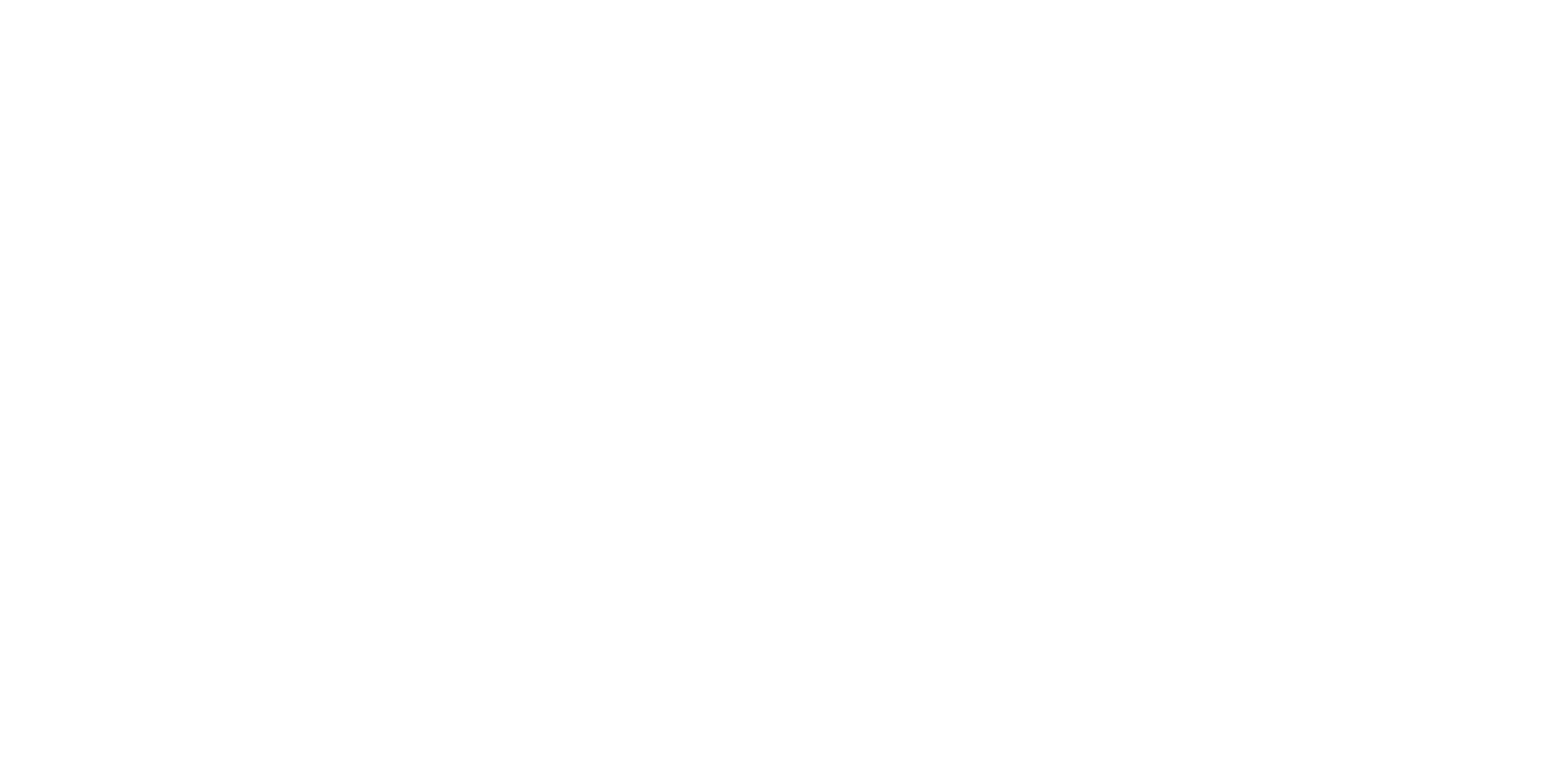 Exit Wounds