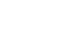 Boundless Life