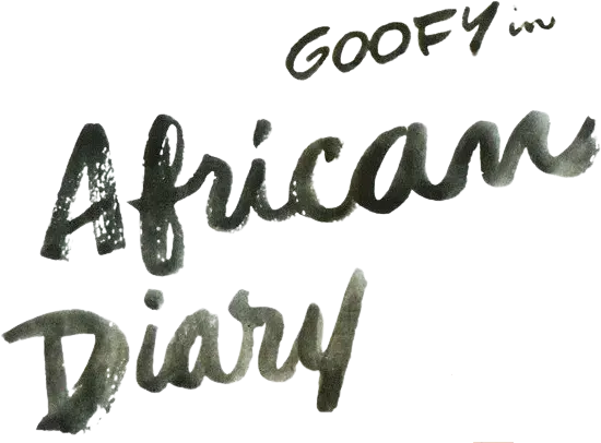 African Diary