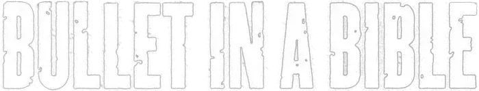 Green Day: Bullet in a Bible