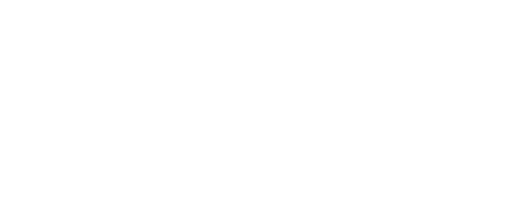 American Hardcore