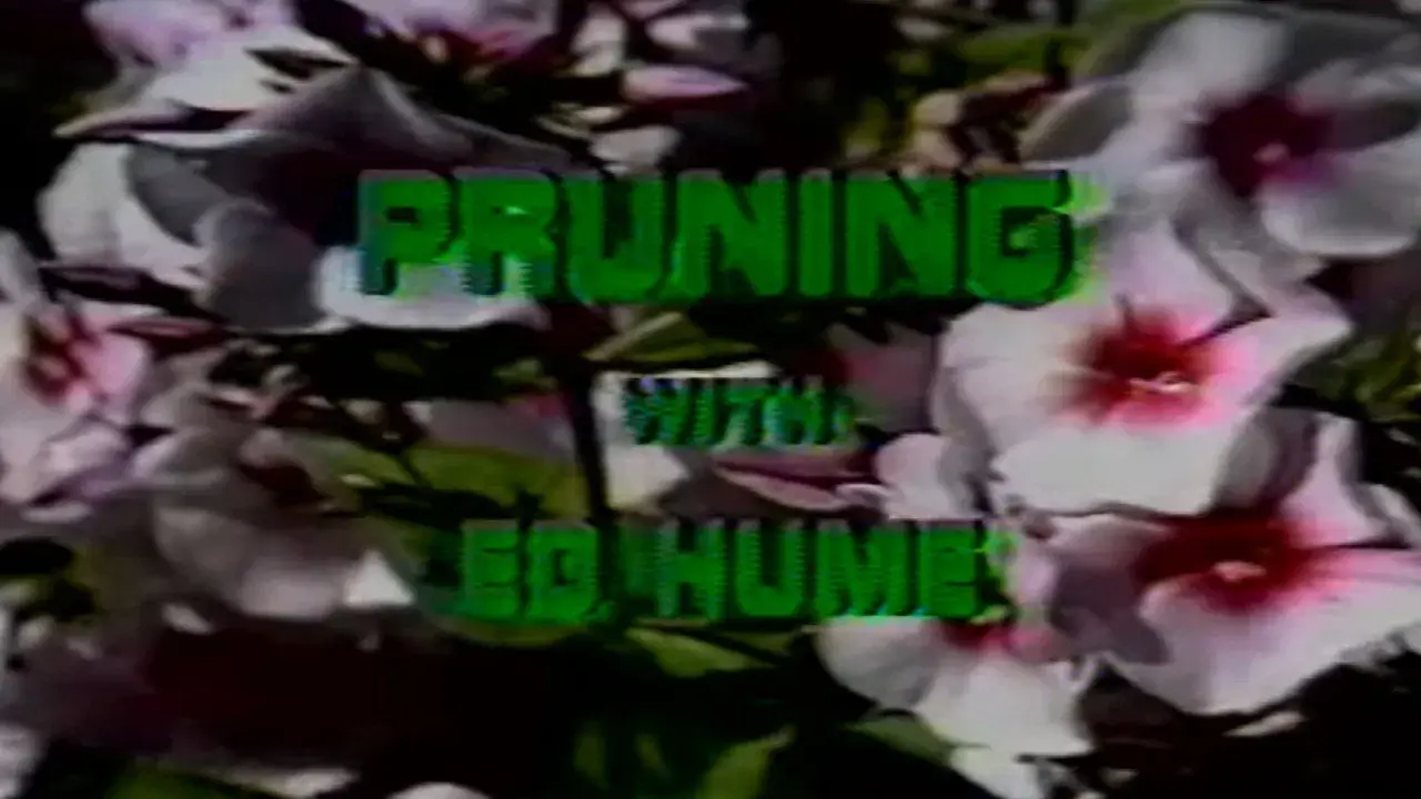 Pruning with Ed Hume