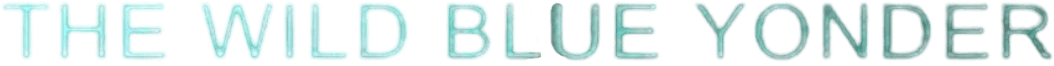 The Wild Blue Yonder