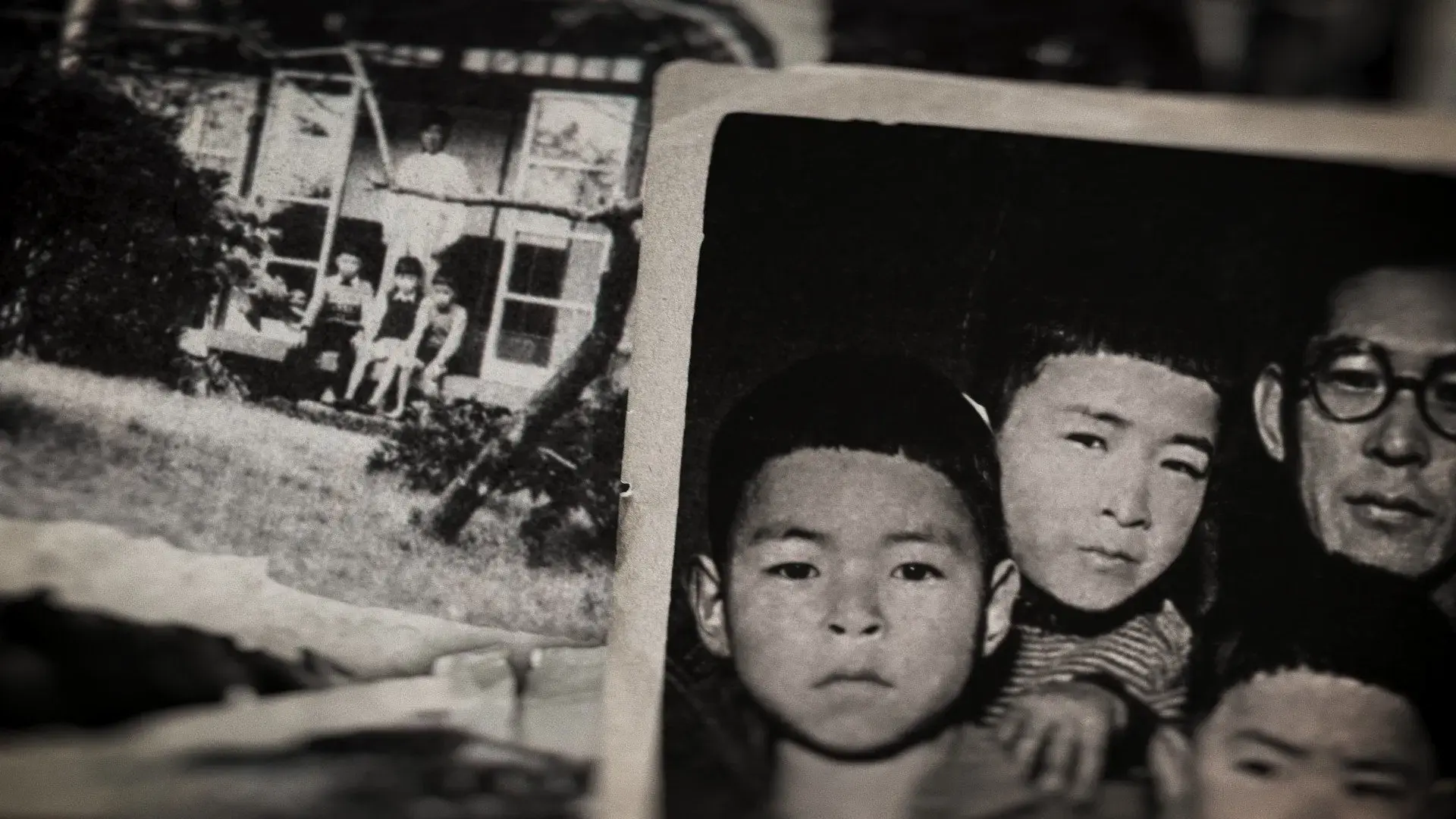 Miyazaki, Spirit of Nature