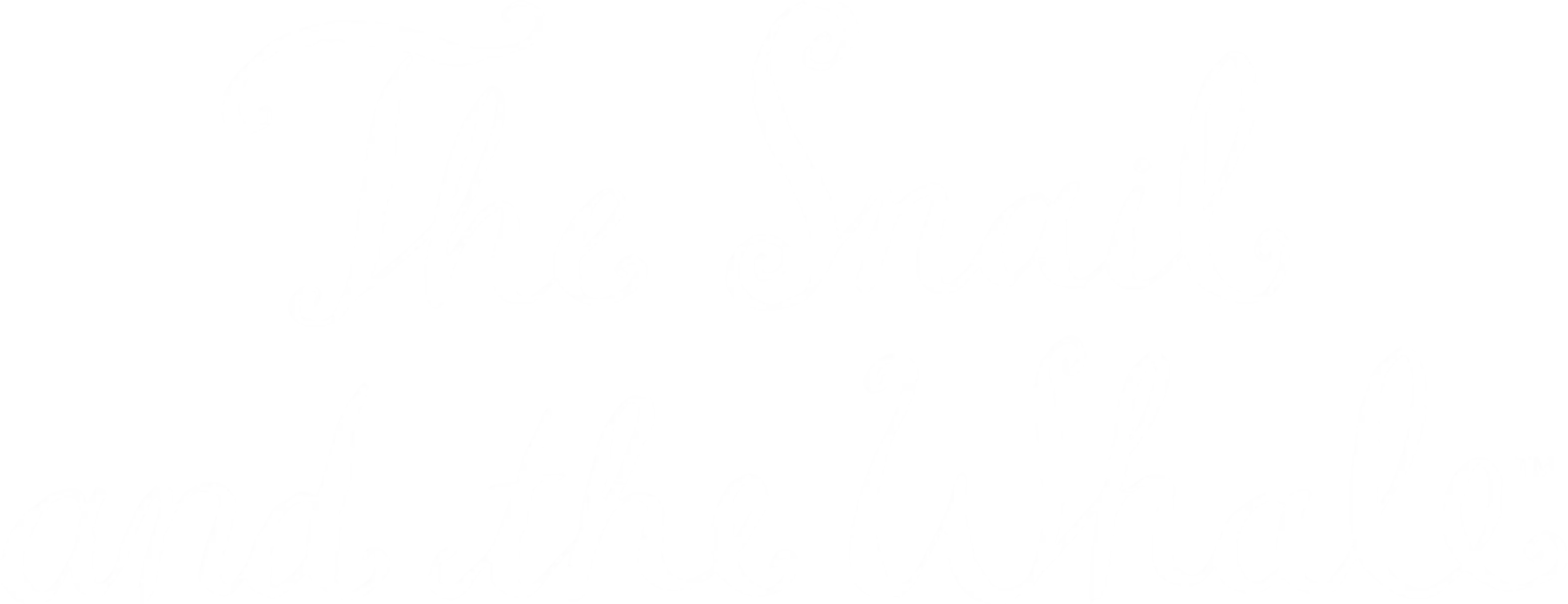 The Snail and the Whale