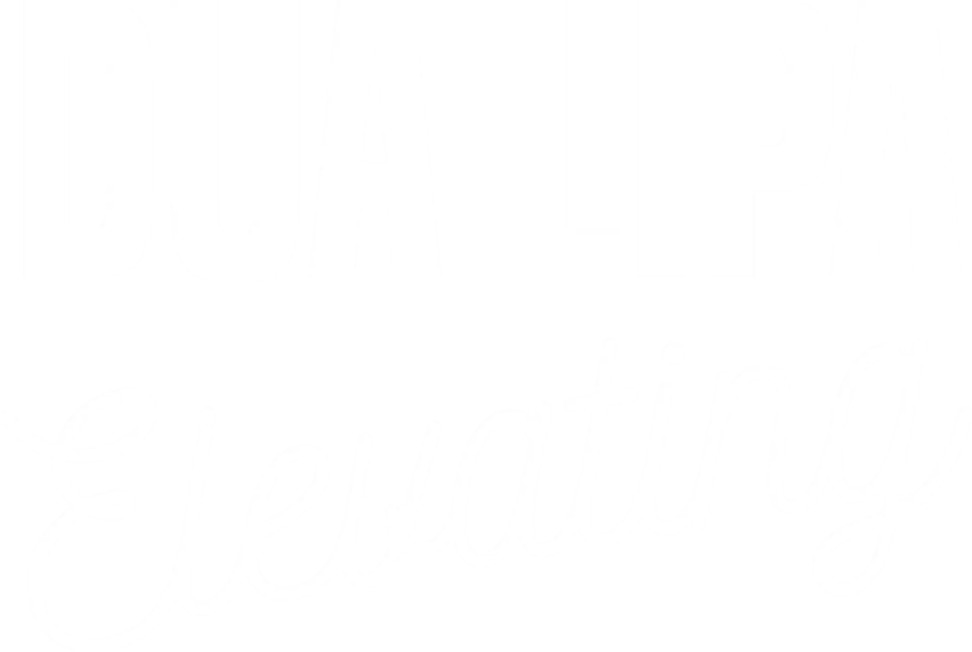Dua Lipa: Elevating