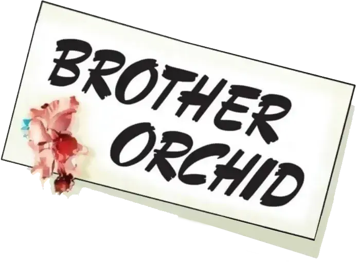 Brother Orchid