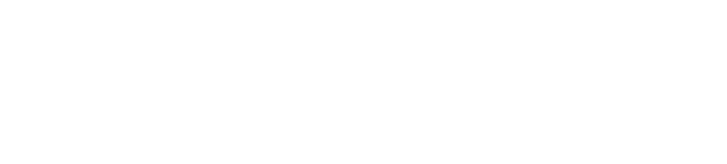 Roger Waters: The Wall