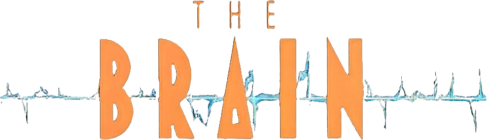The Brain