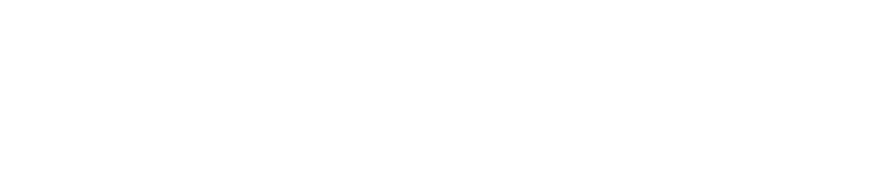 Chhota Bheem: Master of Shaolin