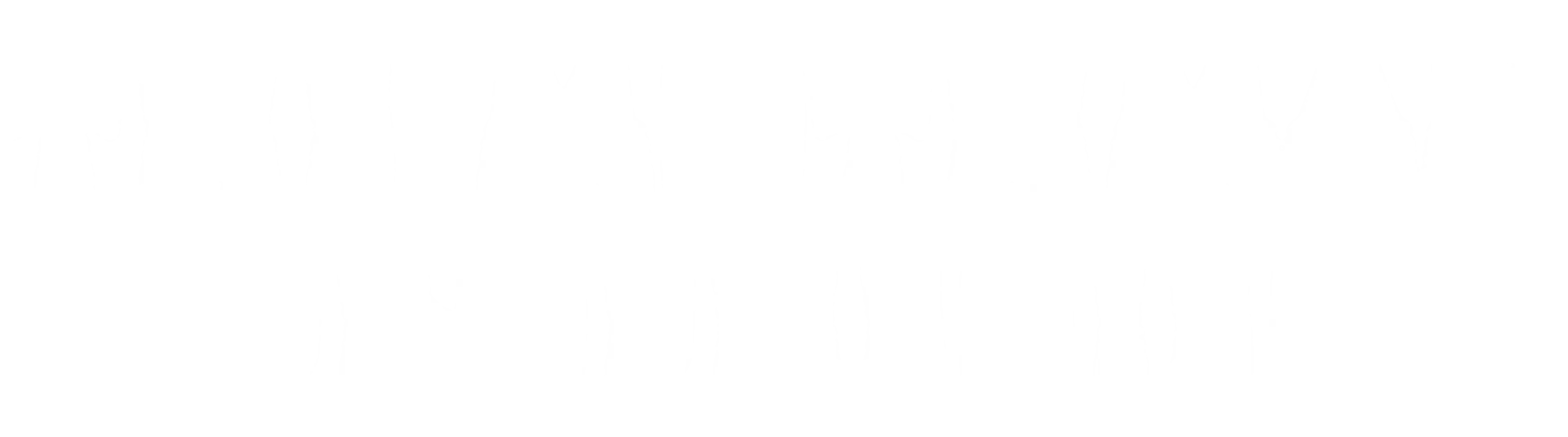 The Mothman Prophecies