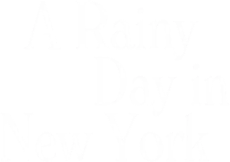 A Rainy Day in New York