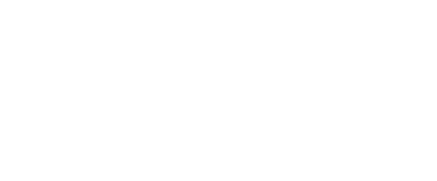 The Magnificent Butcher