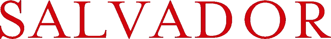 Salvador (Puig Antich)