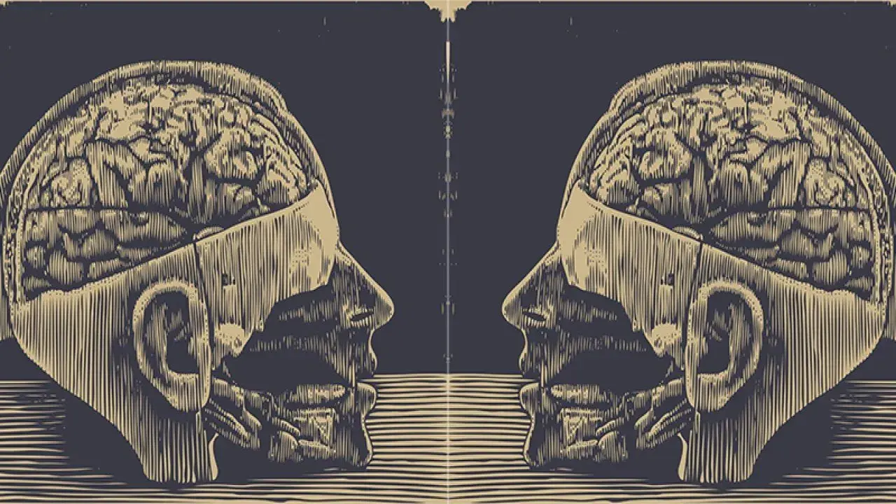 Lobotomy, or the Blinding Creation of Moniz