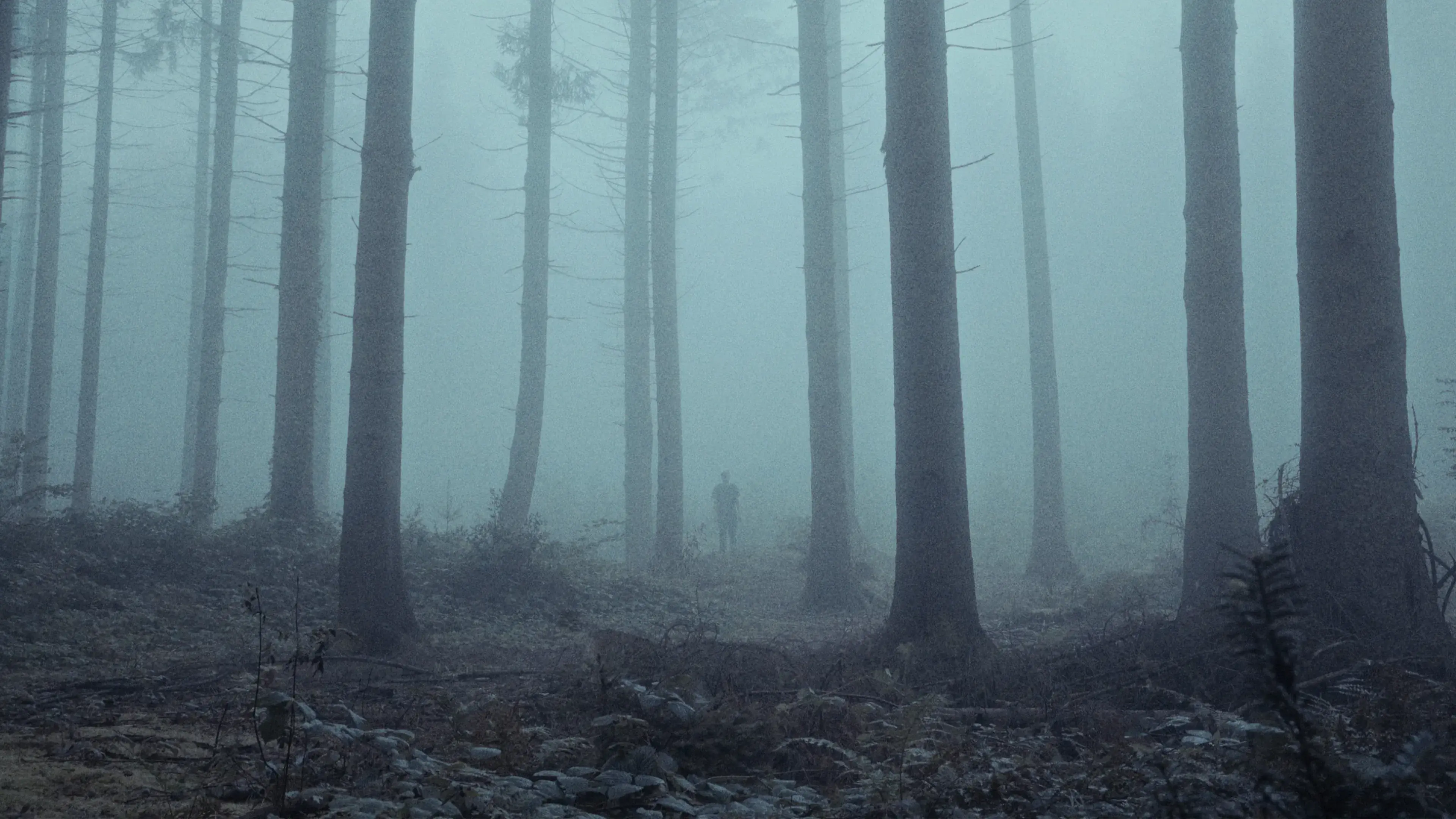 Peter will verschwinden