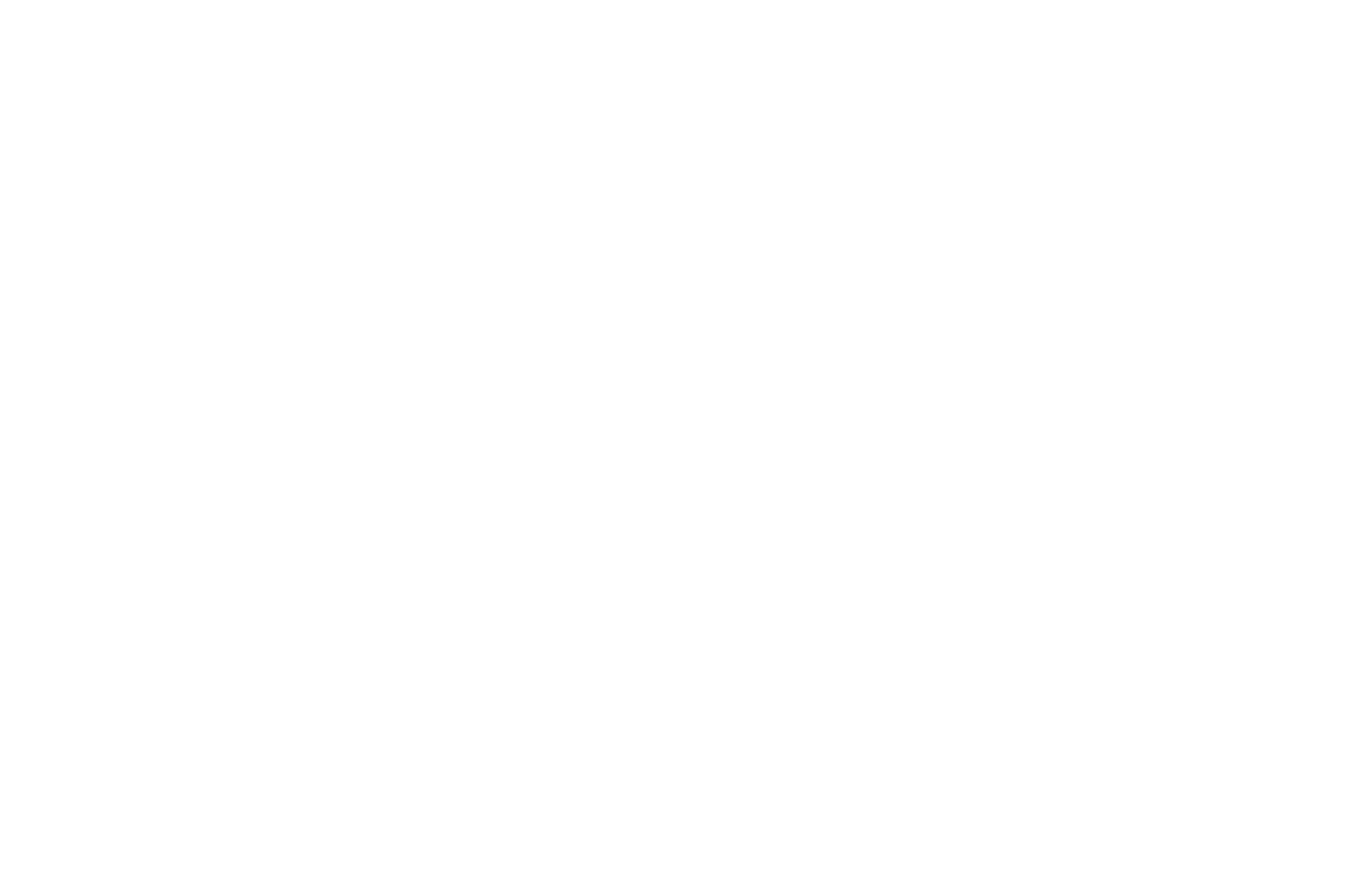 The Fisher King