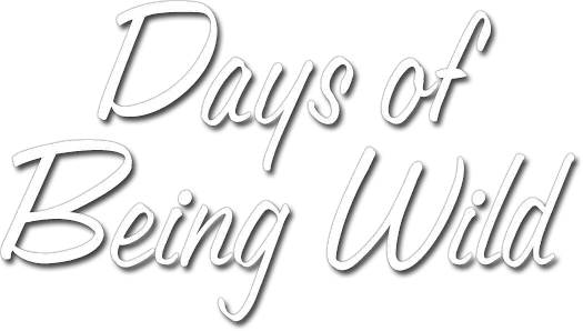 Days of Being Wild
