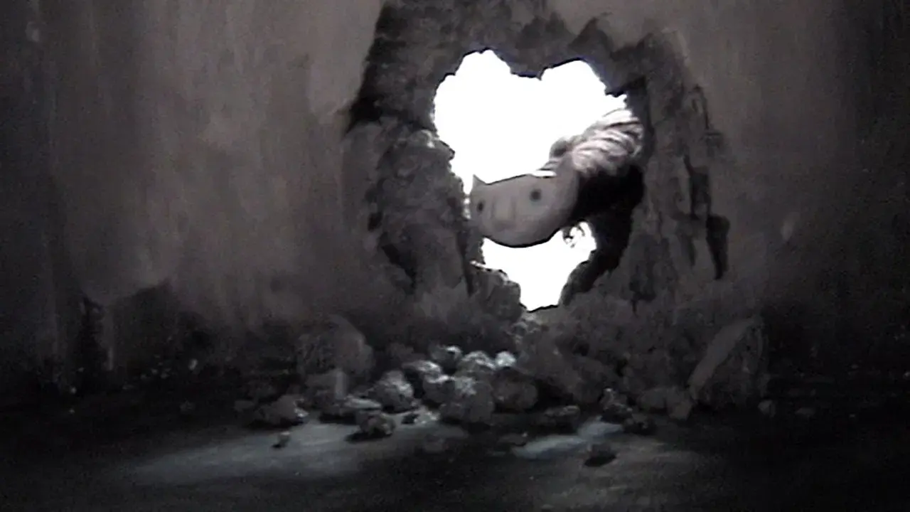 Curiouser & Curiouser