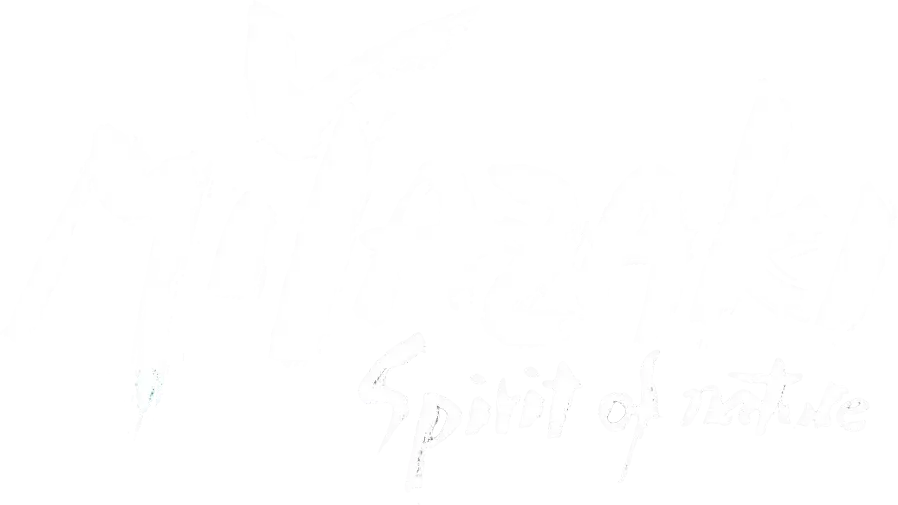 Miyazaki, Spirit of Nature