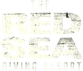 The Red Sea Diving Resort