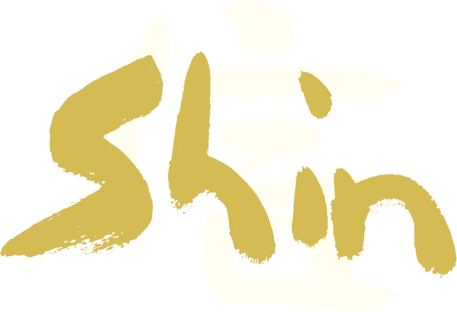 Shin 信