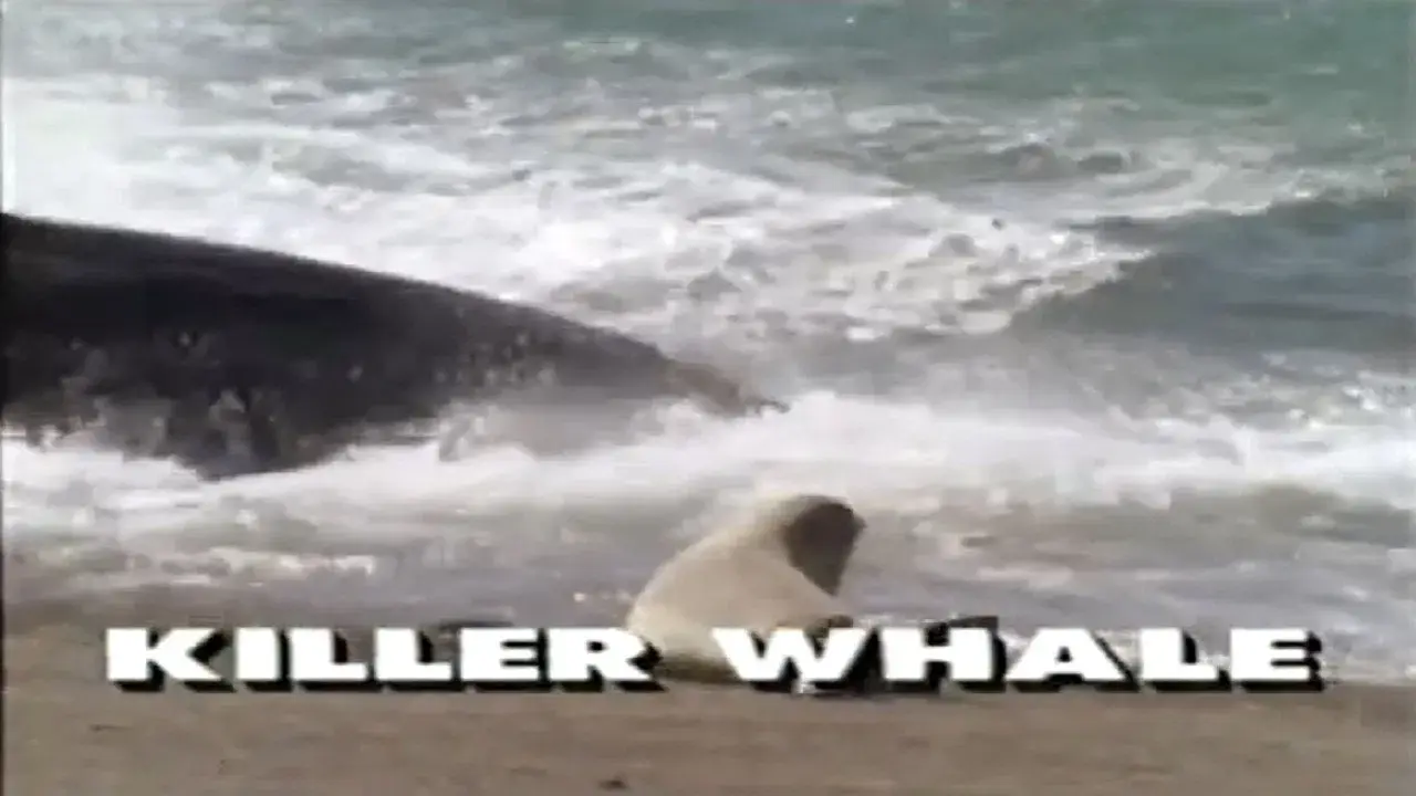Predators of the Wild: Killer Whale