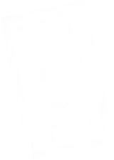 Too Big to Fail
