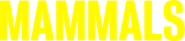 Mammals
