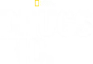 Drugs, Inc.