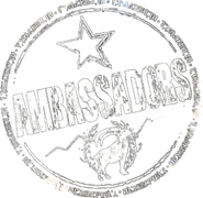 Ambassadors