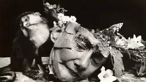 Witkin & Witkin