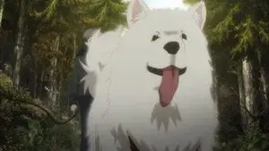 A Butterfly Disappeared in November (Part 2)