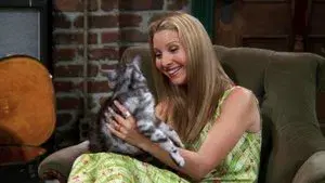 The One with the Cat