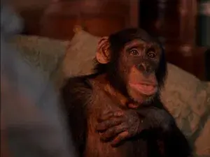 The Thanksgiving Story (2)